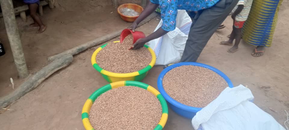 Sécurité alimentaire